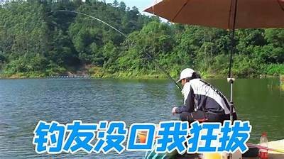成人钓鱼课程视频免费观看全集